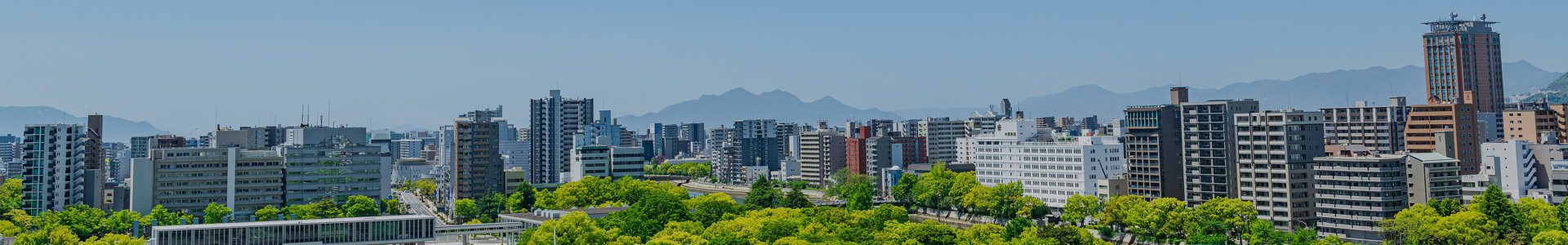 下層ページタイトルヘッダー